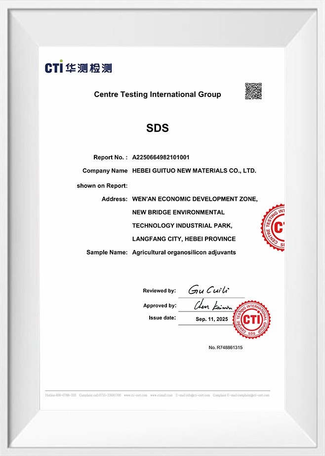 Center Testing International Group